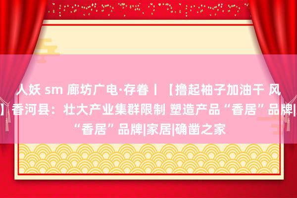 人妖 sm 廊坊广电·存眷丨【撸起袖子加油干 风雨无阻上前行】香河县：壮大产业集群限制 塑造产品“香居”品牌|家居|确凿之家