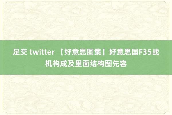 足交 twitter 【好意思图集】好意思国F35战机构成及里面结构图先容