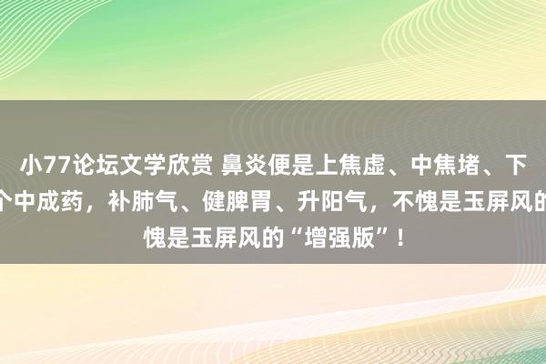 小77论坛文学欣赏 鼻炎便是上焦虚、中焦堵、下焦不固！一个中成药，补肺气、健脾胃、升阳气，不愧是玉屏风的“增强版”！